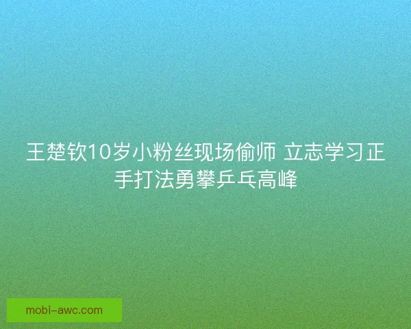 王楚钦10岁小粉丝现场偷师 立志学习正手打法勇攀乒乓高峰 王楚钦10岁小粉丝现场偷师 立志学习正手打法勇攀乒乓高峰