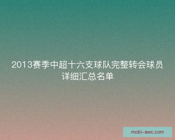 2013赛季中超十六支球队完整转会球员详细汇总名单