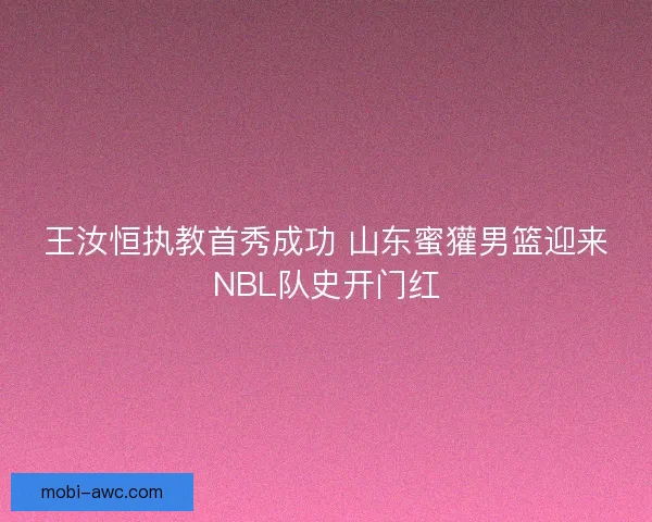 王汝恒执教首秀成功 山东蜜獾男篮迎来NBL队史开门红