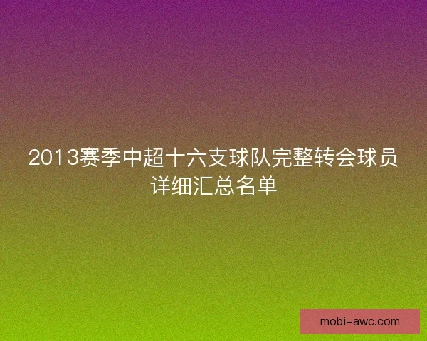 2013赛季中超十六支球队完整转会球员详细汇总名单 2013赛季中超十六支球队完整转会球员详细汇总名单