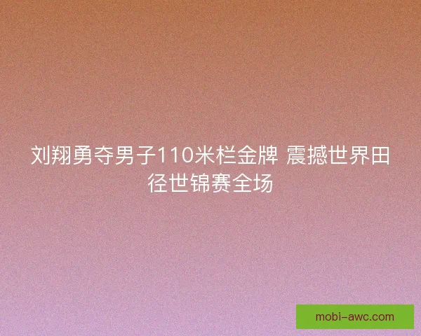 刘翔勇夺男子110米栏金牌 震撼世界田径世锦赛全场