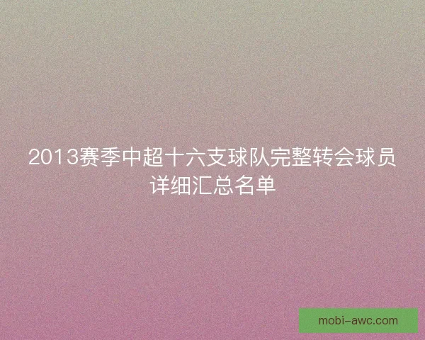 2013赛季中超十六支球队完整转会球员详细汇总名单