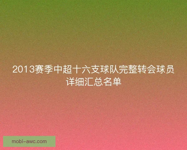 2013赛季中超十六支球队完整转会球员详细汇总名单 2013赛季中超十六支球队完整转会球员详细汇总名单